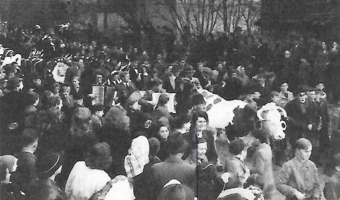 Bad Tatzmannsdorf: Blochziehen,1948