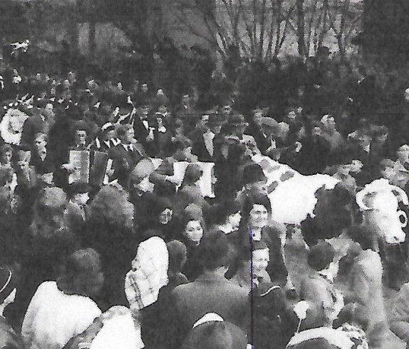 Bad Tatzmannsdorf: Blochziehen,1948