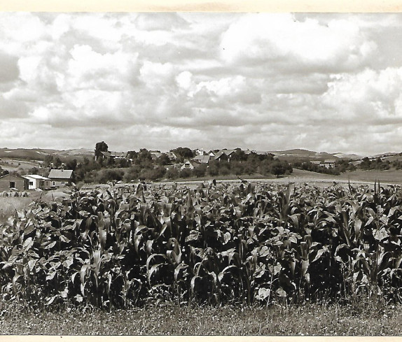 Sulriegel: Sulzriegler Höhe, hier befand sich im 1. Weltkrieg ein Feldflugplatz