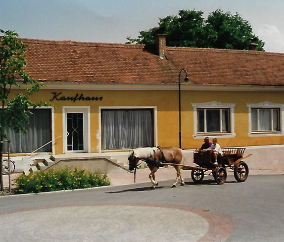 Bad Tatzmannsdorf; Feldgasse 1